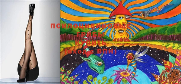 хмурый Вязники