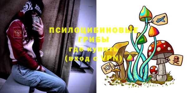 spice Вязьма